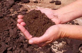 soil amendment